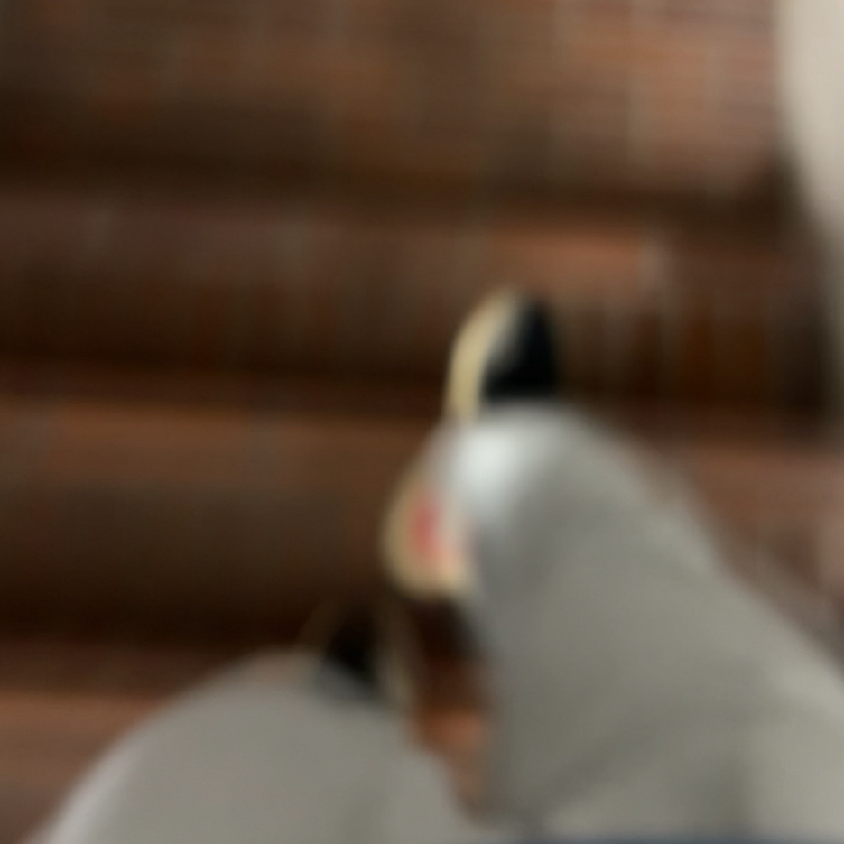 徘徊厨・投稿厨の星