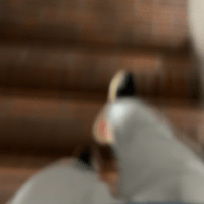 徘徊厨・投稿厨の星