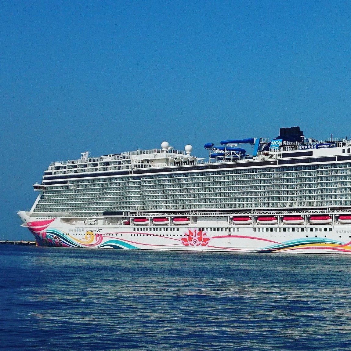 豪華客船クルーズの星