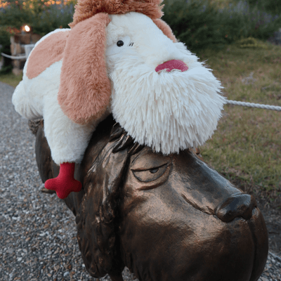 あざまし🦭✨️の星