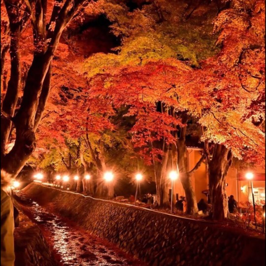 好きな広告の星