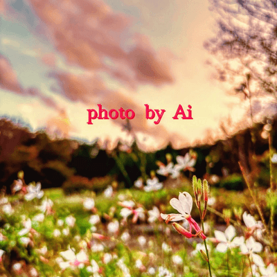 夕焼け空好きの星