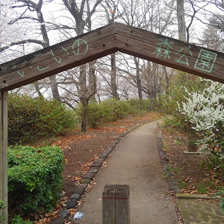 ドナルド保護活動の星