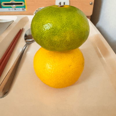 明るく愉快な病人の星