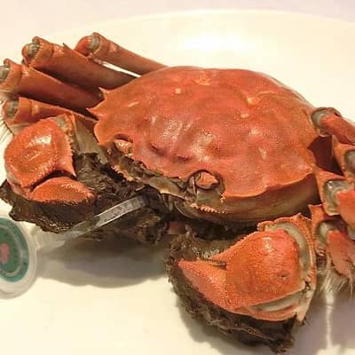 わんわんおの星