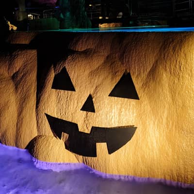 年下男子と年上女子の星