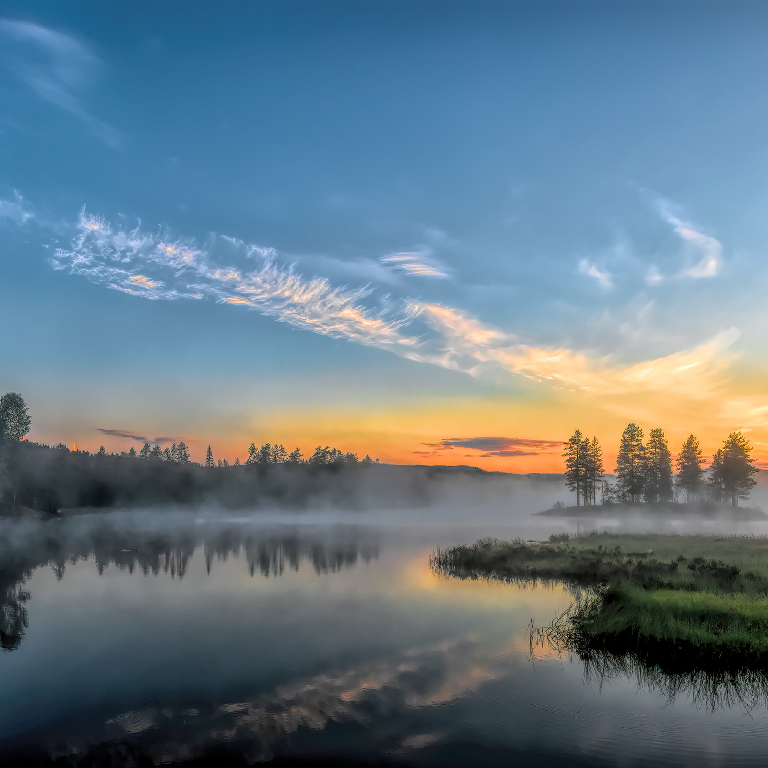 約束のネバーランの星