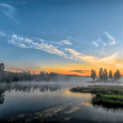 約束のネバーランの星