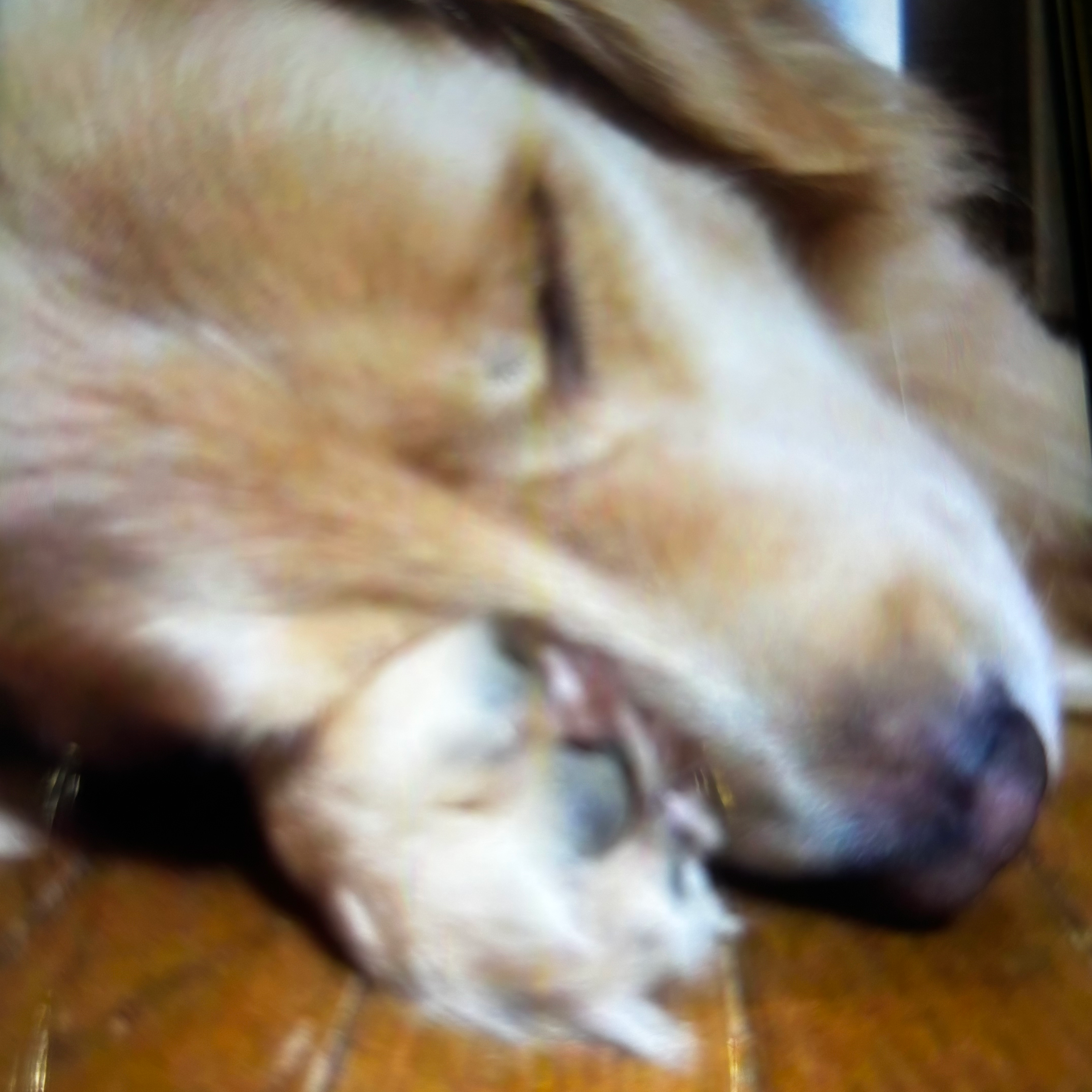 スマフォトの星