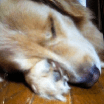 スマフォトの星