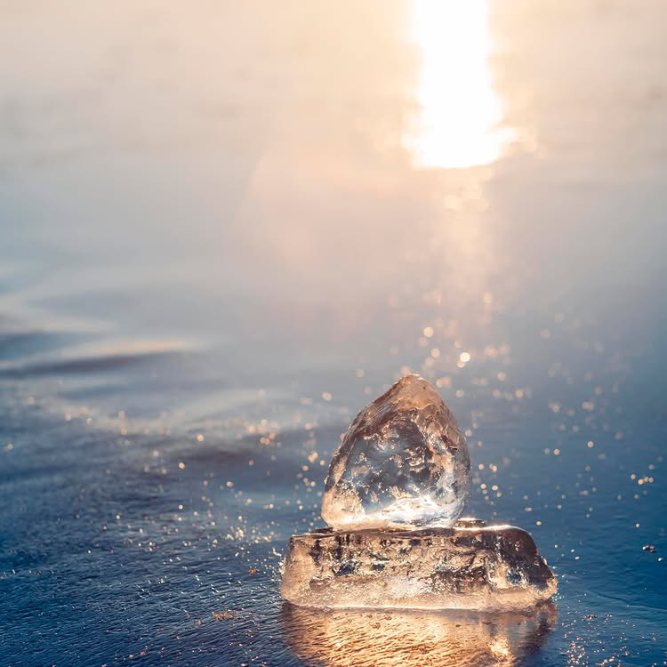 精神疾患療養中の星