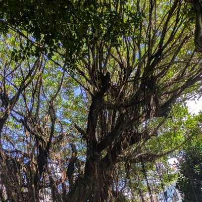 声劇興味ある人の星