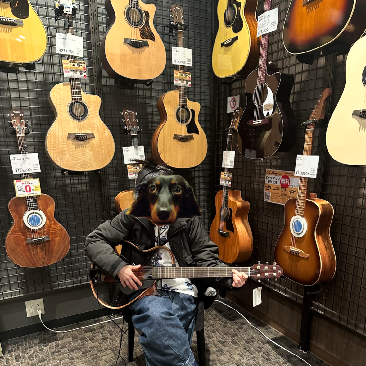 サイレントギターの星