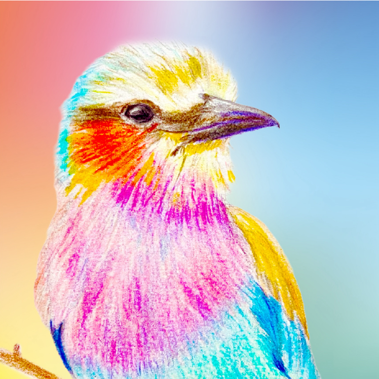 鉛筆画・色鉛筆画の星