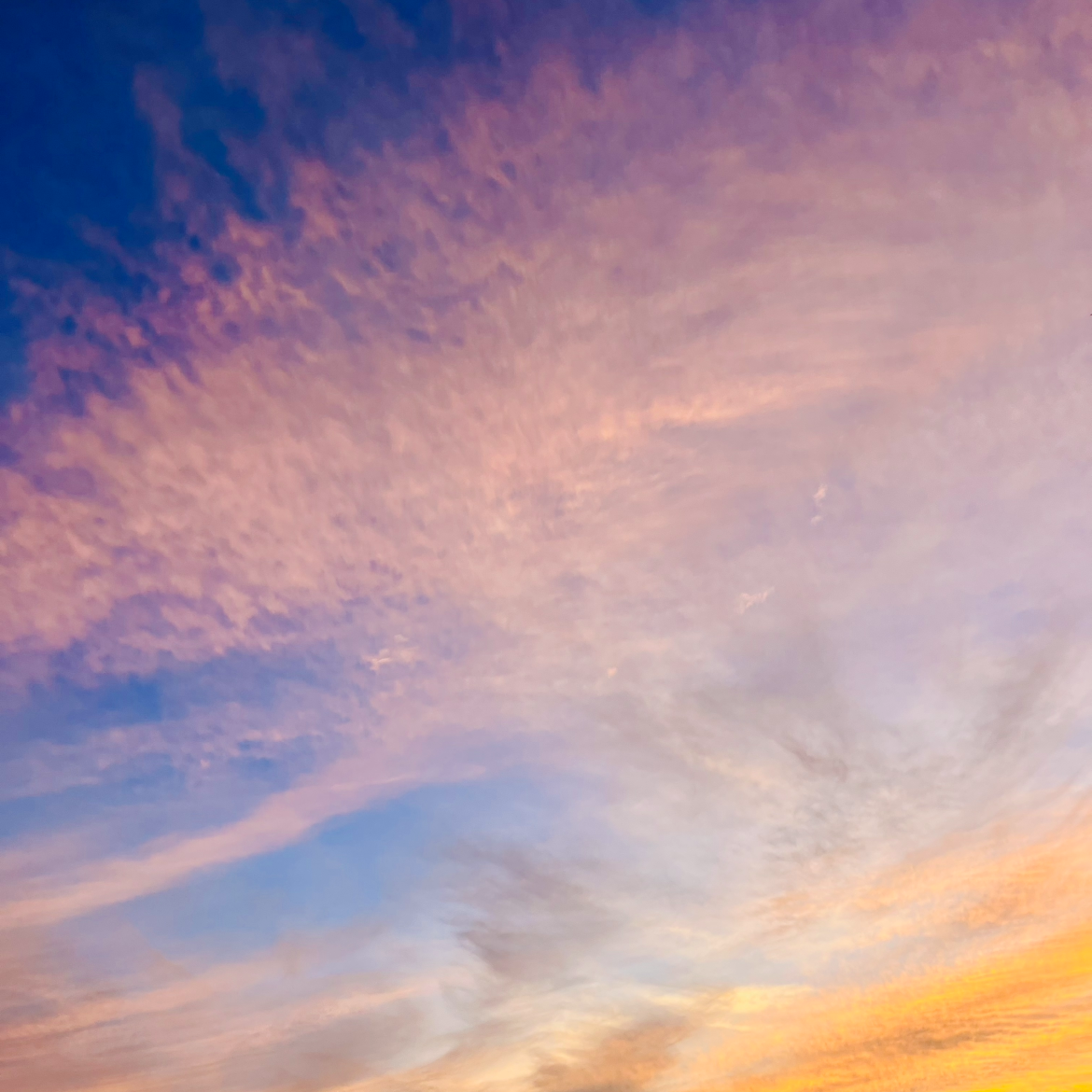 小さな幸せ探し🍀の星