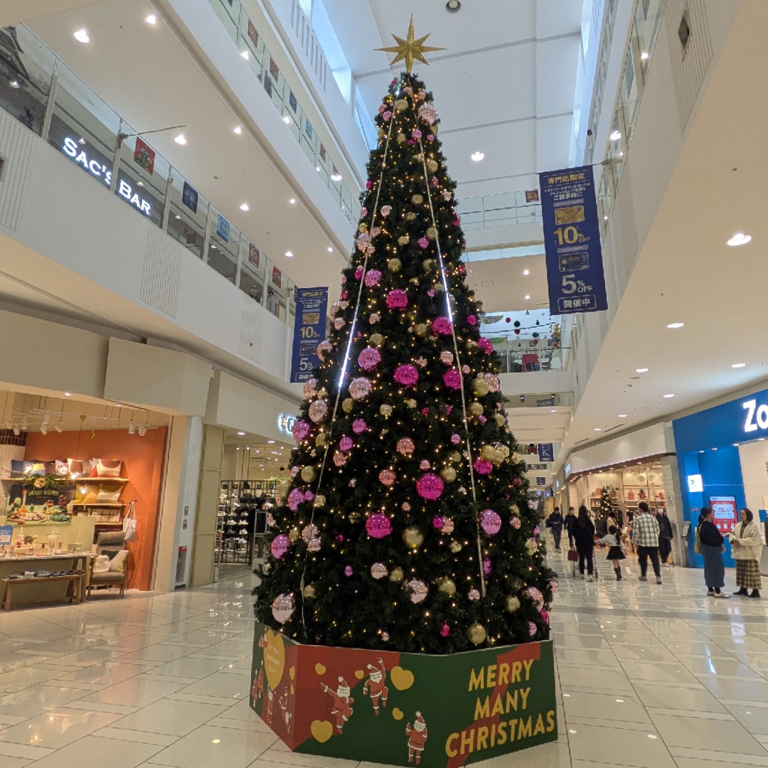 いろんな病気の星