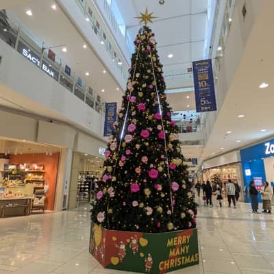 いろんな病気の星