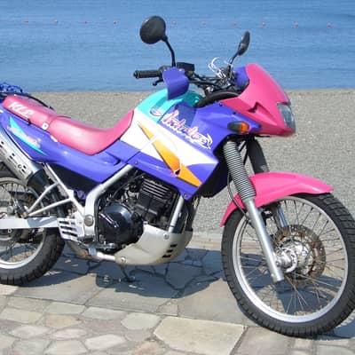 スローツーリングの星