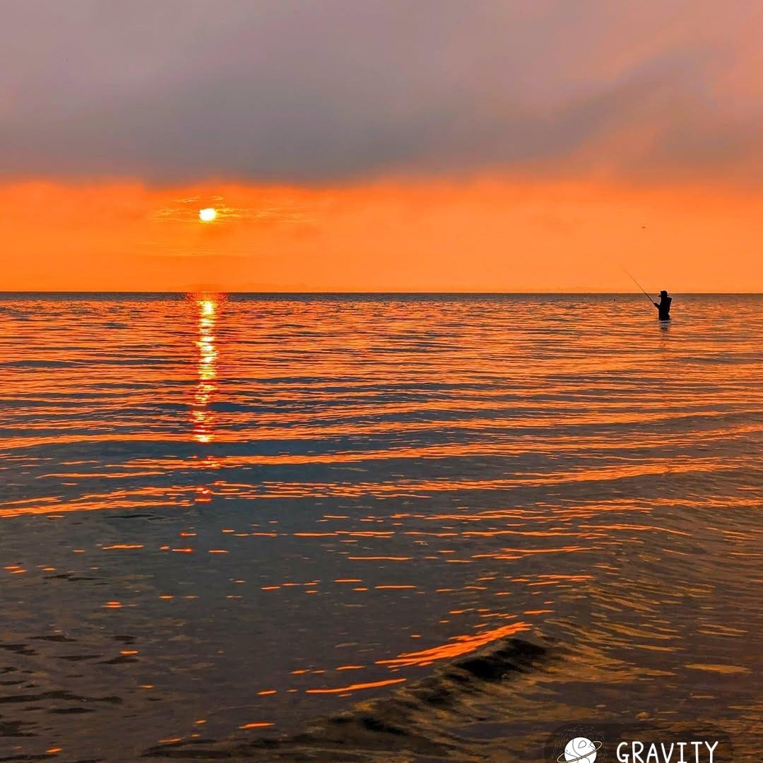 ウクレレ奏者の星