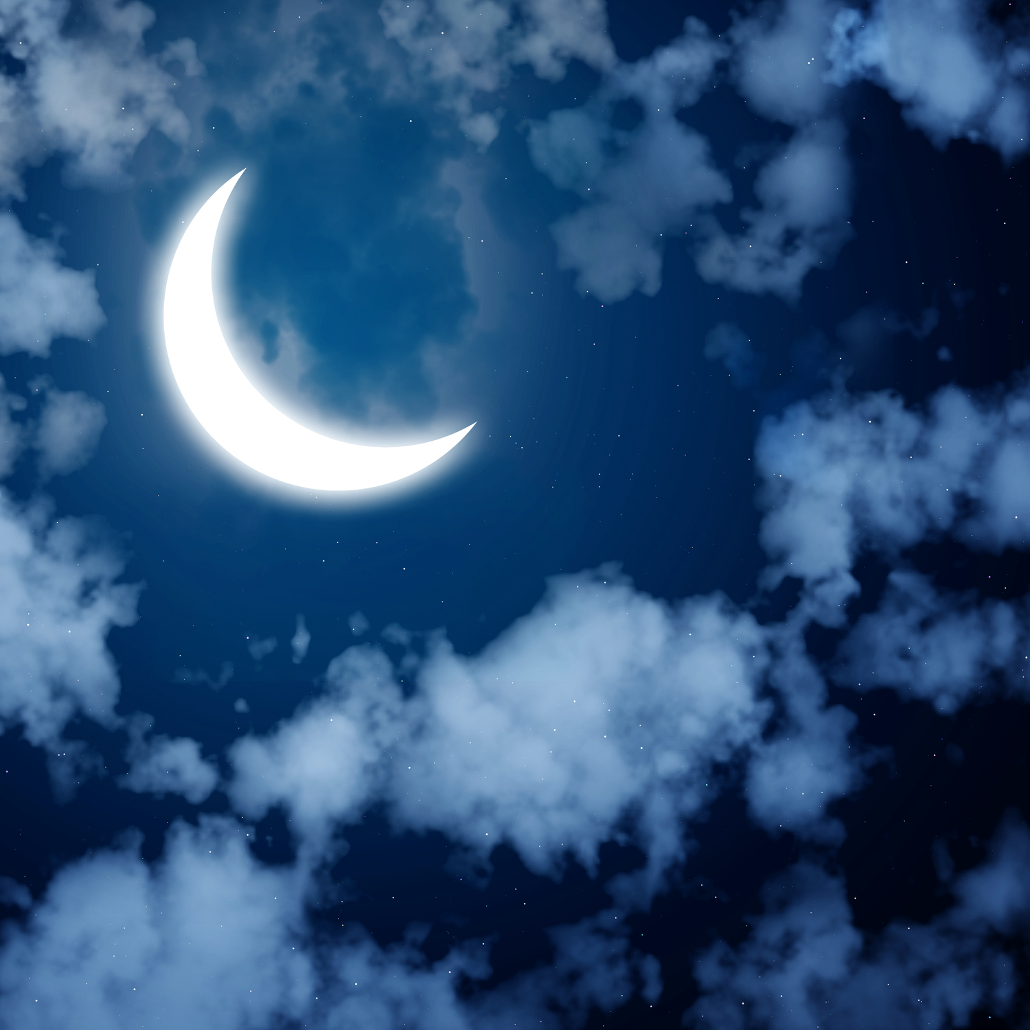 🫧夢小説💭の星