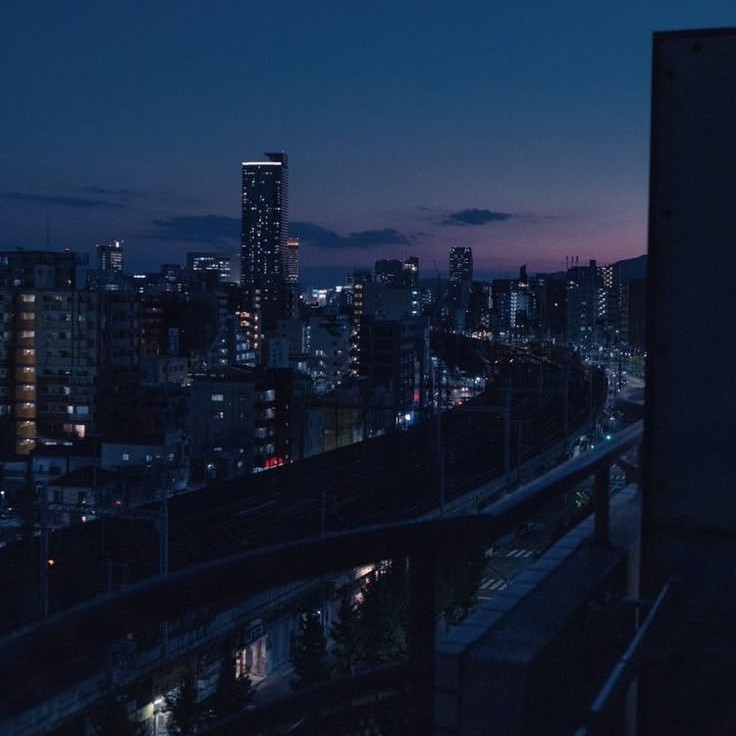 夜ふかし民の星