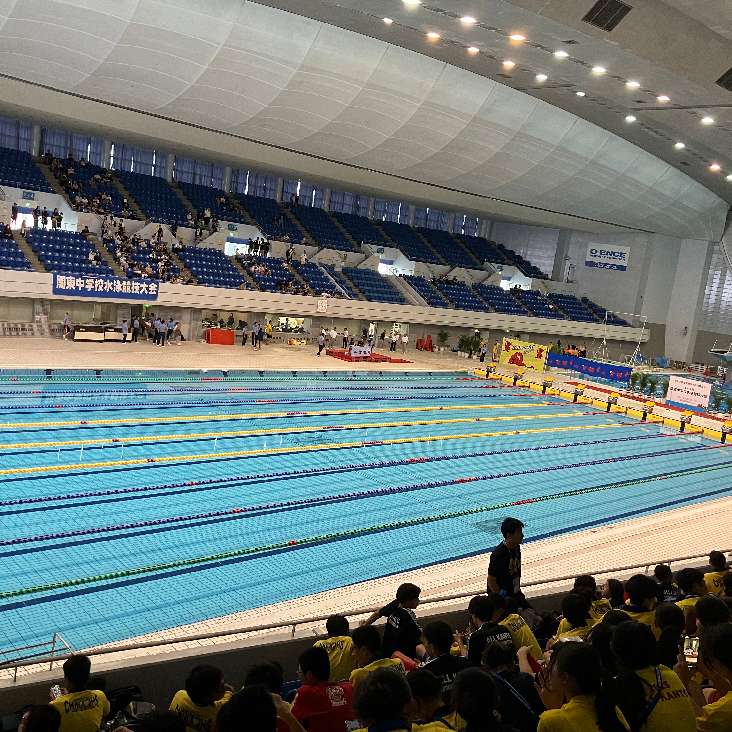 あつまれ水泳の星