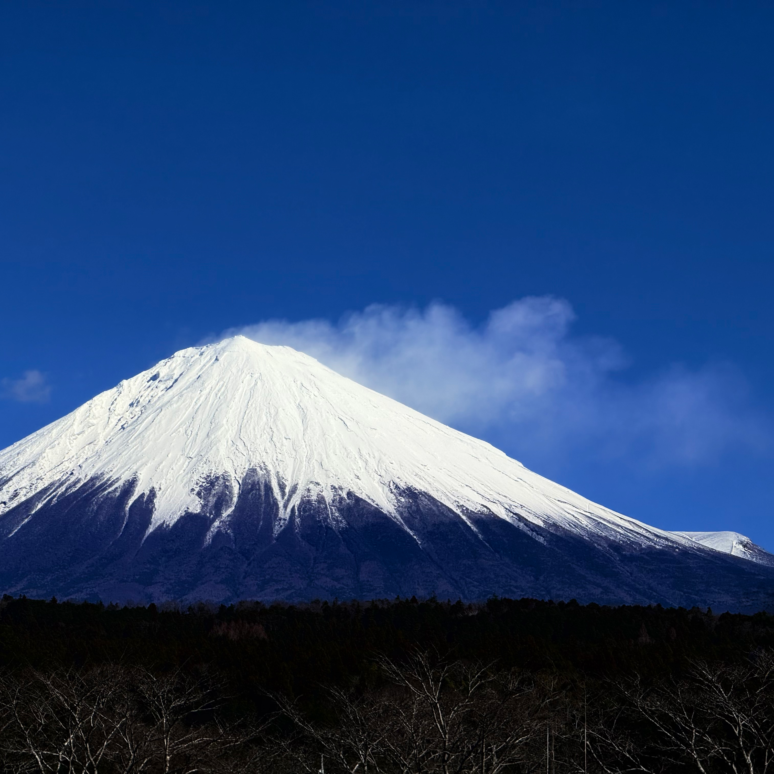 今日の富士山🗻の星