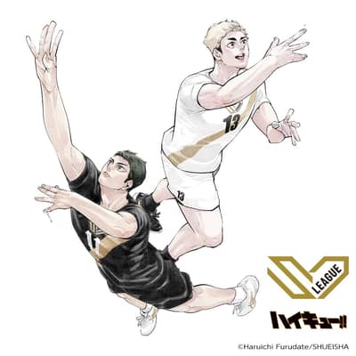 ハイキュー!!の星