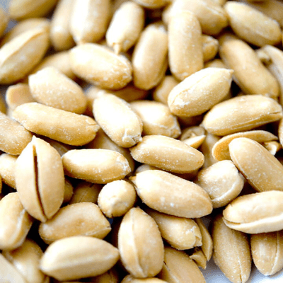 ピーナッツ界隈🥜の星