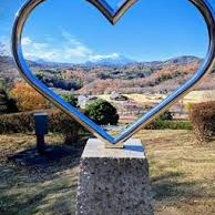 婚活の集いの星