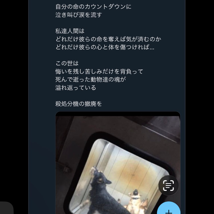 殺処分0🐕の星