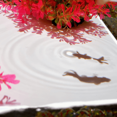 旅行記・旅日記の星