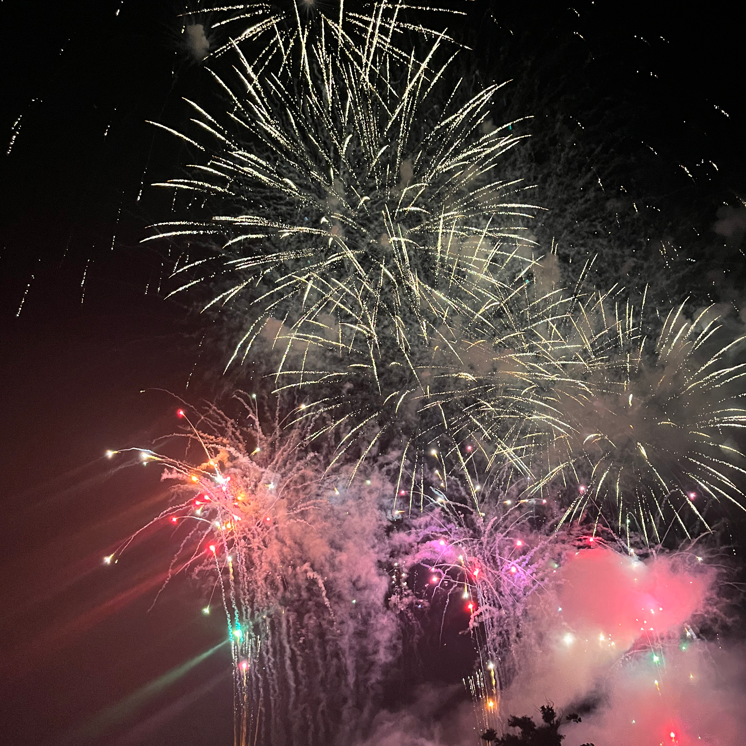 福井県丹南の星