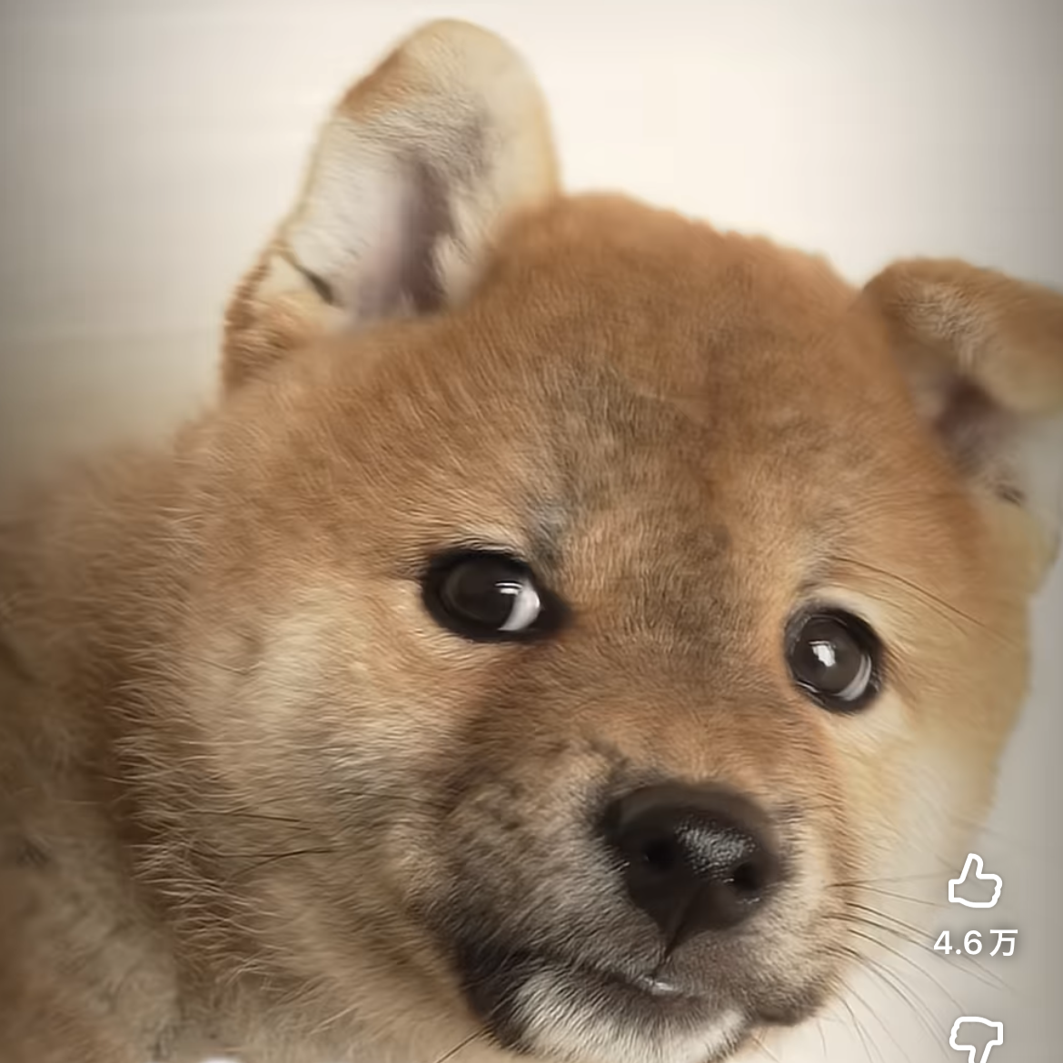 東京圏の飲み屋の星