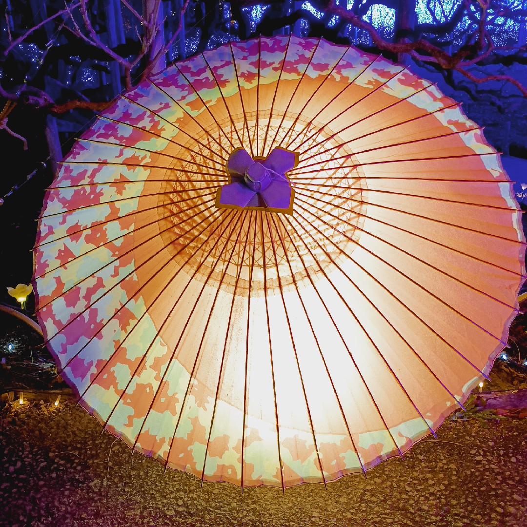 夢を語る惑星の星