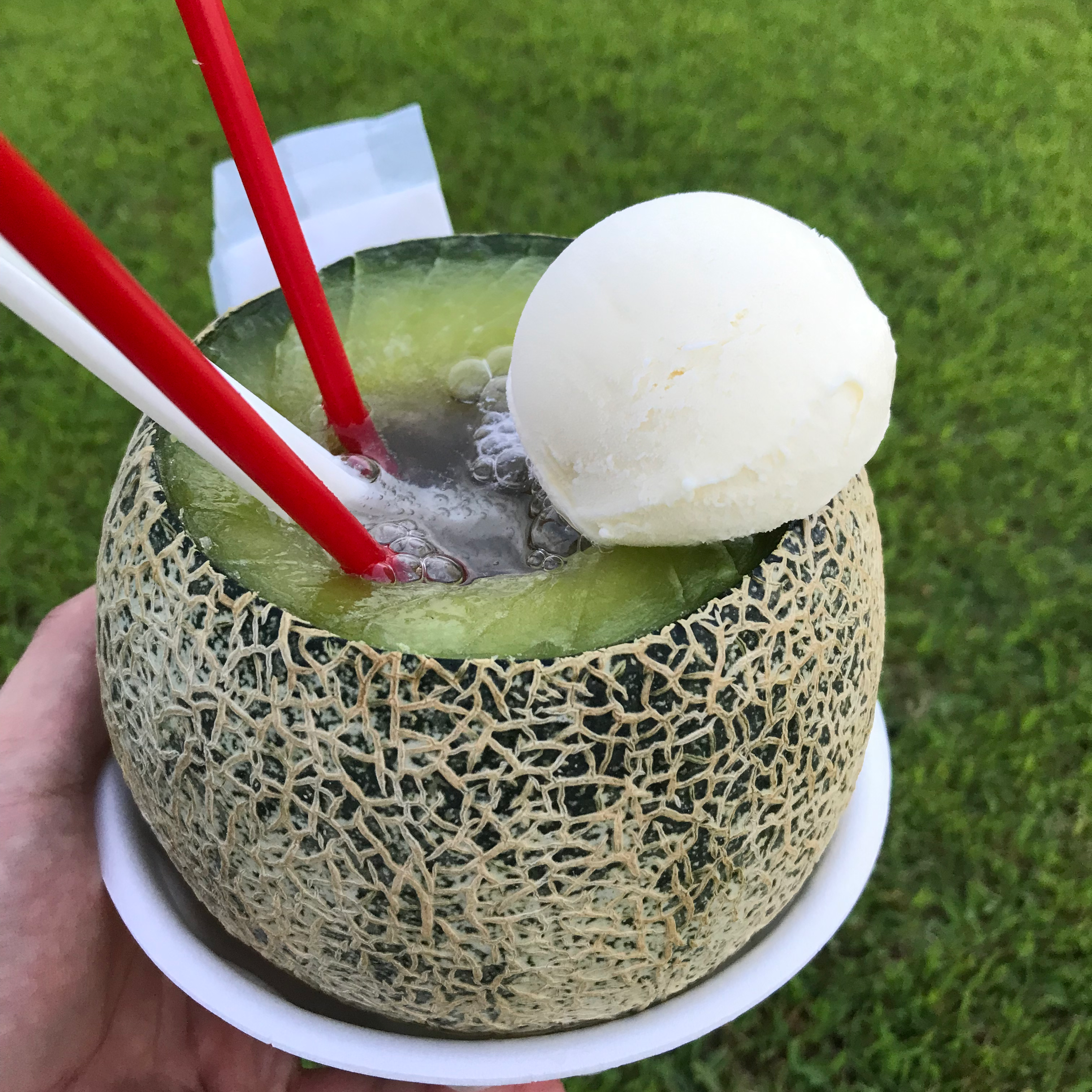 メロン大好き芸人の星