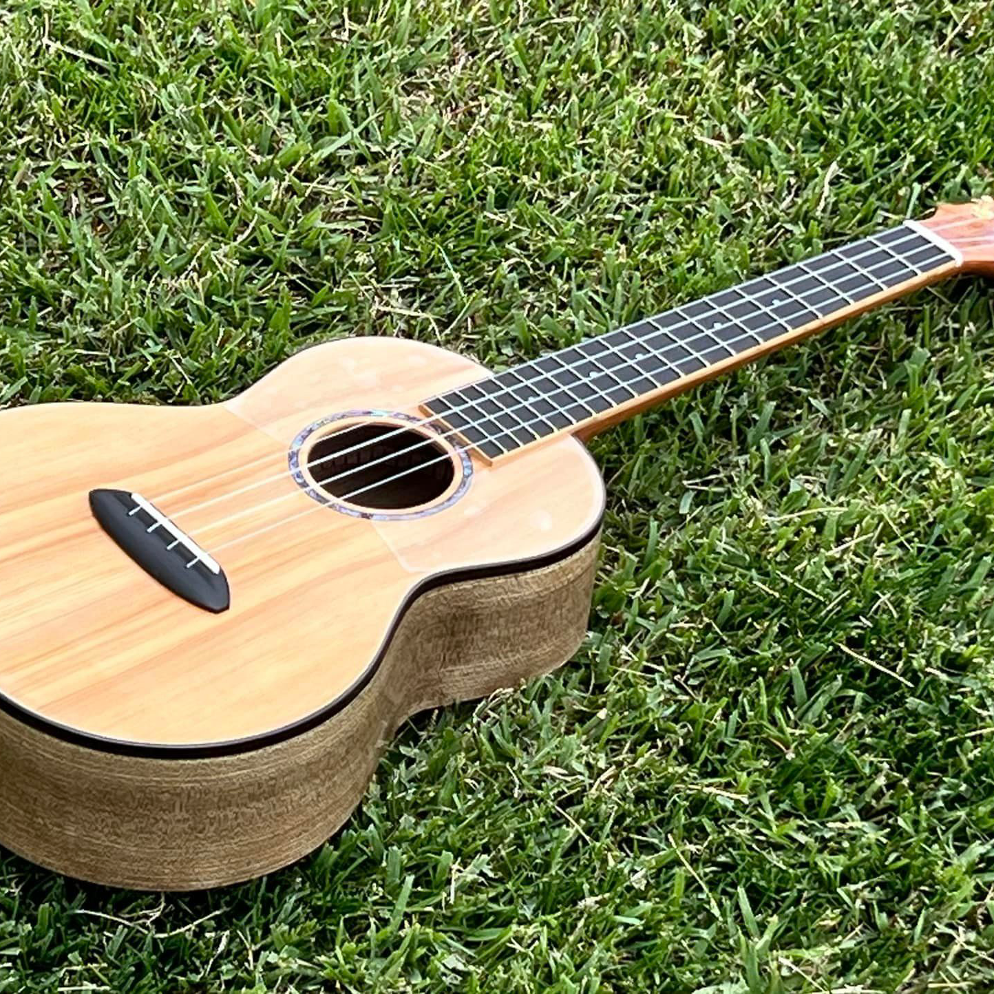 ソロウクレレの星