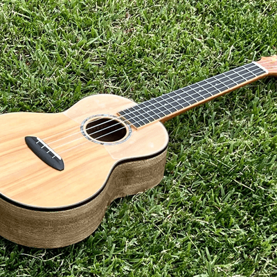 ソロウクレレの星