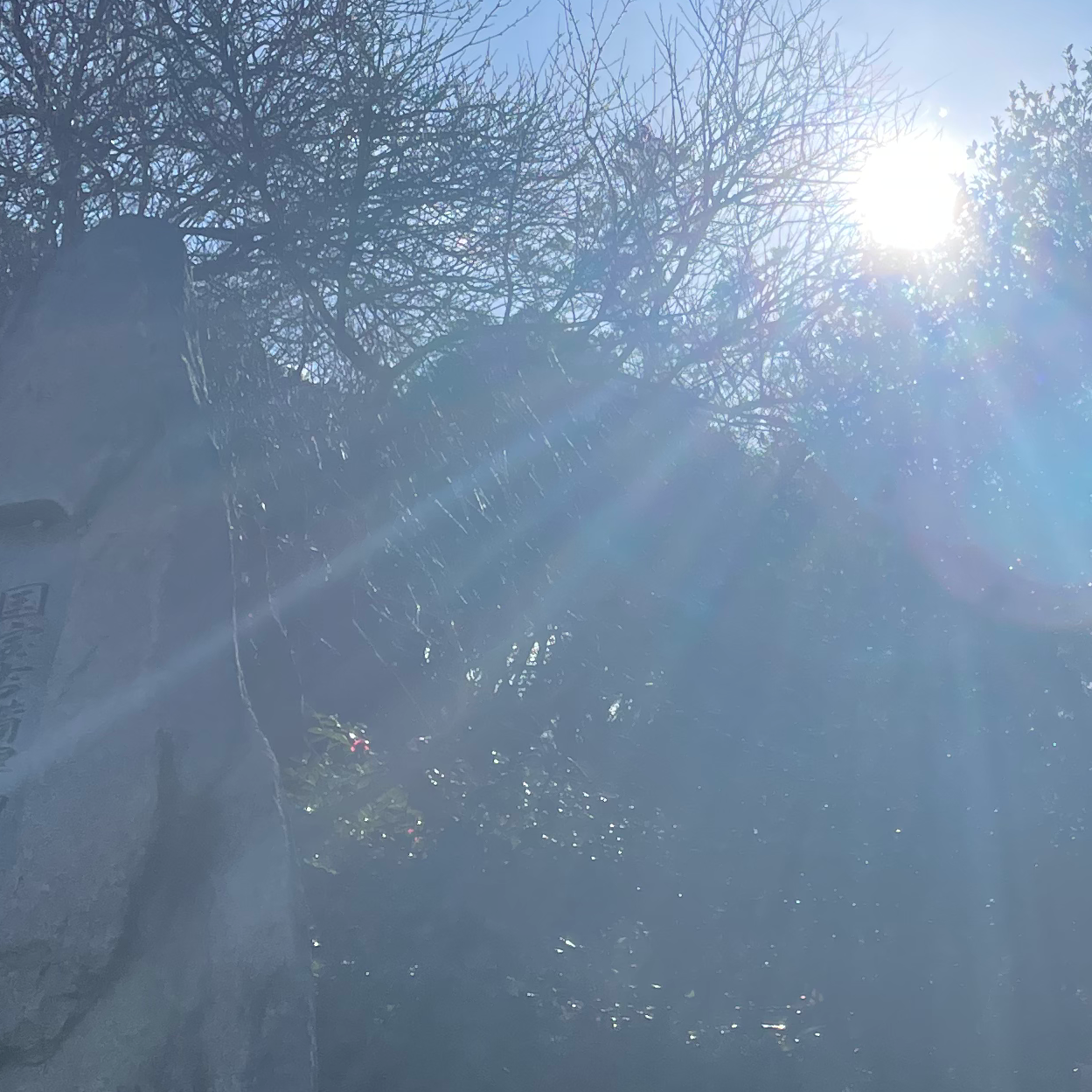 ともカフェの星