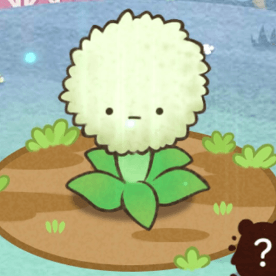 カウシェファームの星