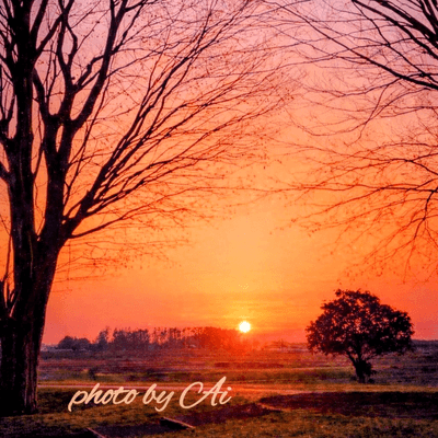 夕焼け空好きの星