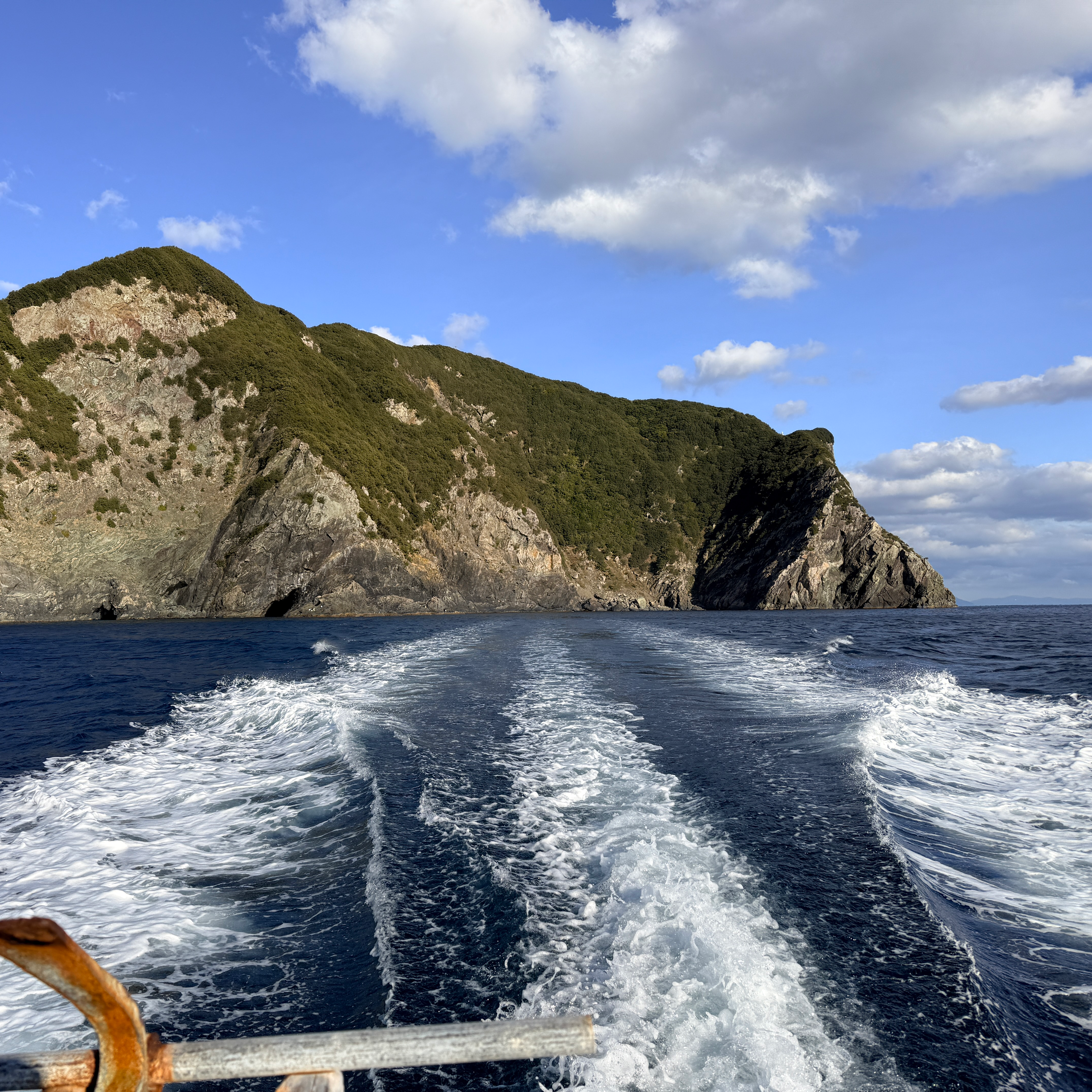 フカセ釣り師の星