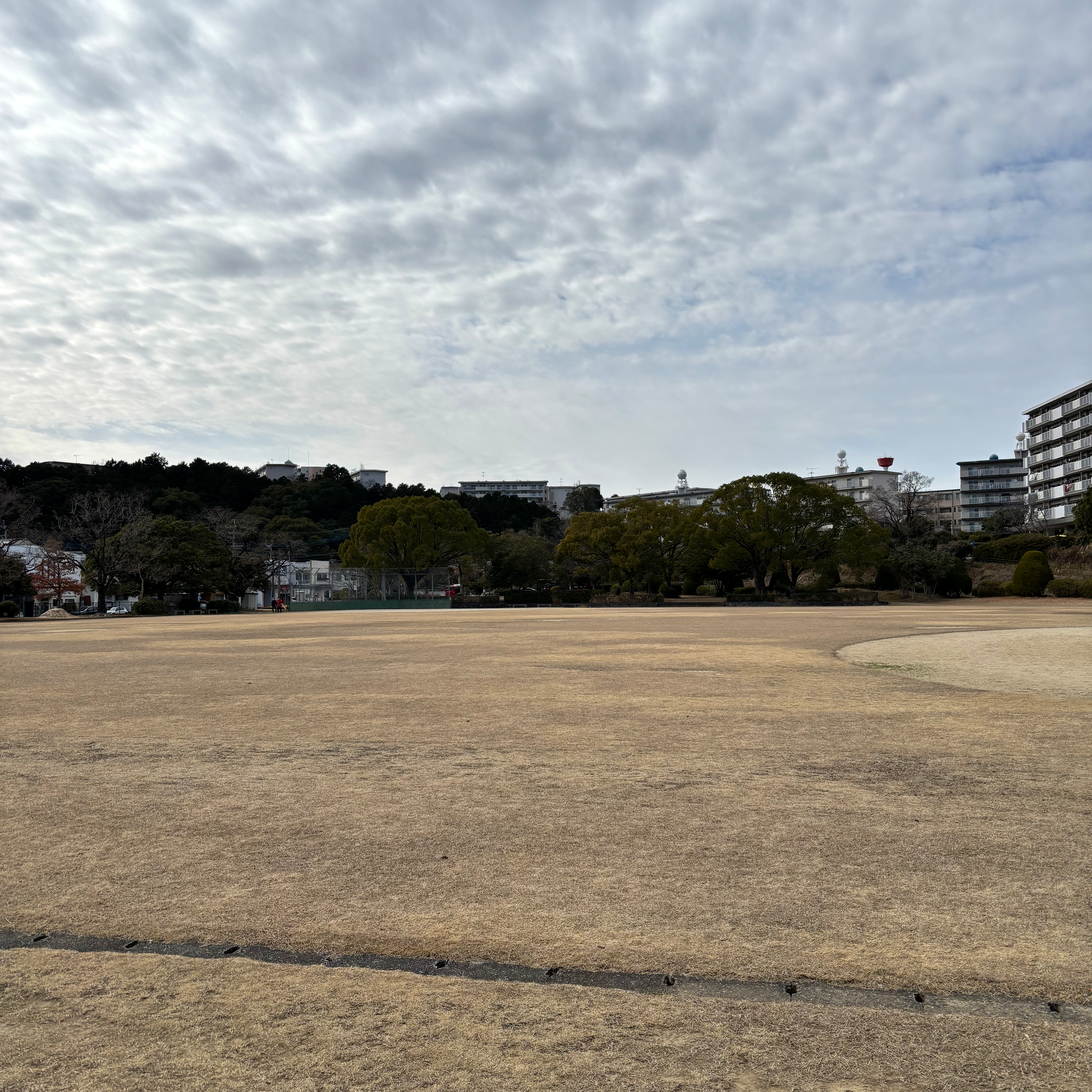 カラーブロックジの星