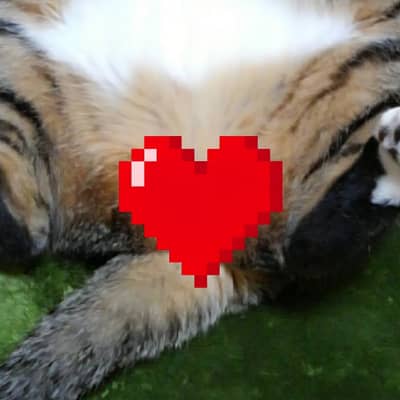 にゃんたまωの星