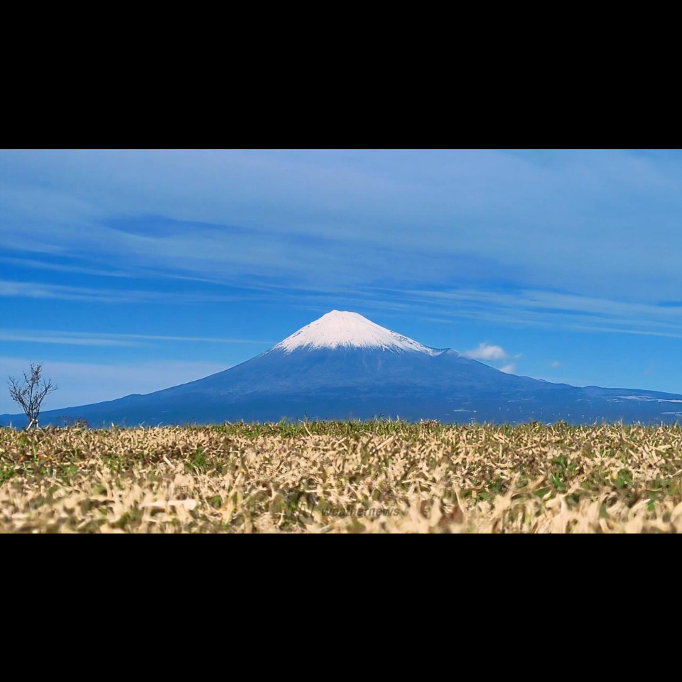 日本バンザイの星