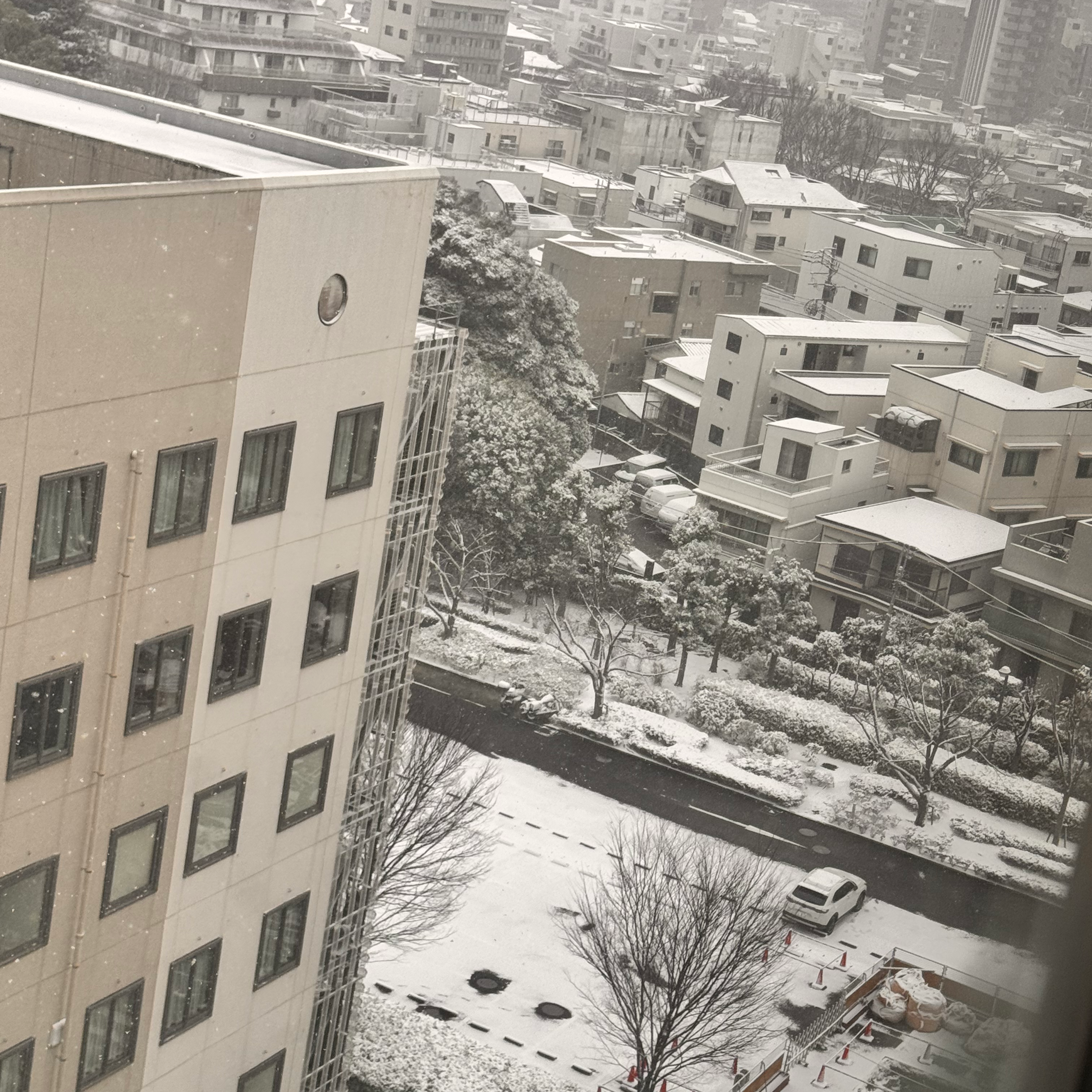 明るく愉快な病人の星