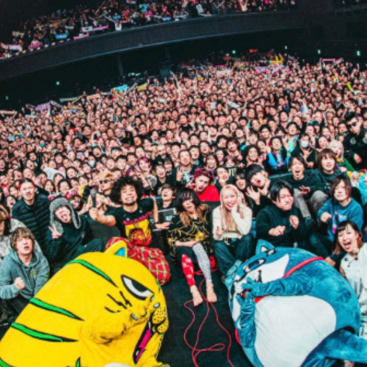 ライブ参戦の星