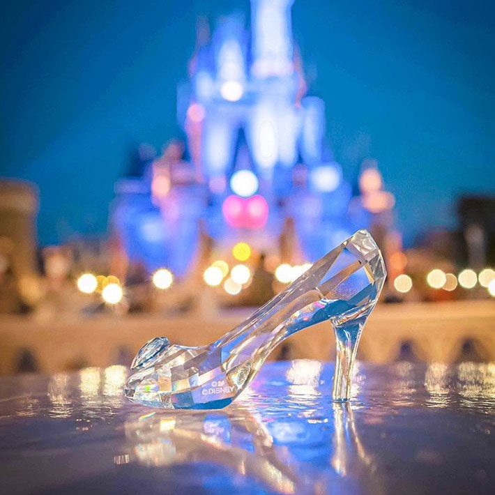 ディズニー好きファンの星