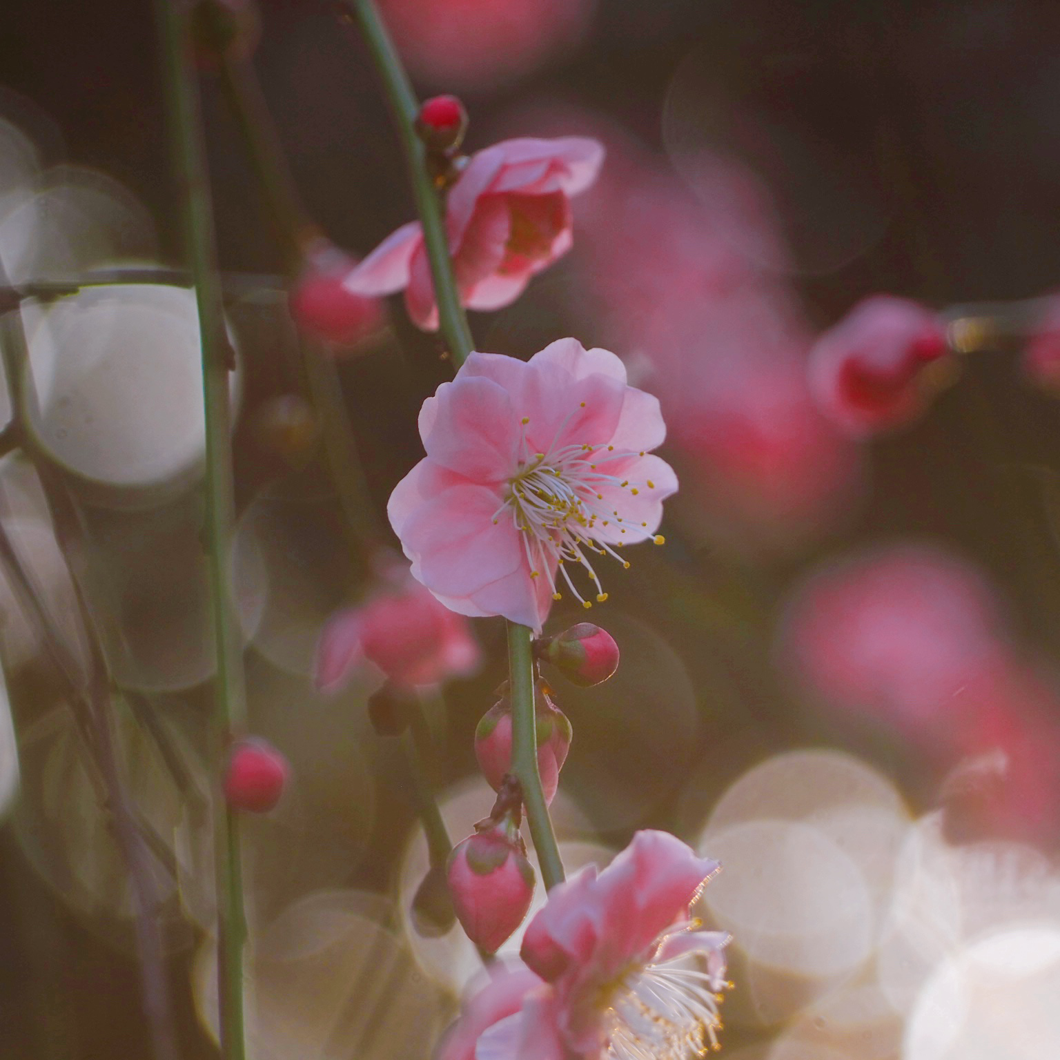 気持ちのゴミ箱