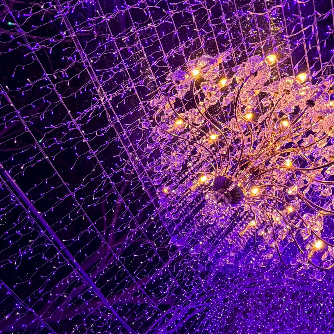 実物は異なりますの星